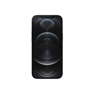 iPhone 12 Pro Max — Graphite